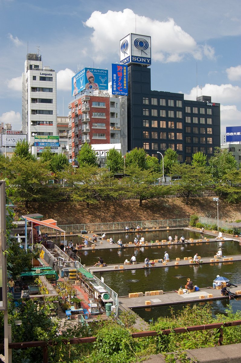 The SME Ichigaya Building on the north bank of the outer moat, seen in 2011 across the Ichigaya fishing pond - the dark block with the Sony Music sign. Sony Music Communications gave its head office as 市谷田町1丁目4番地 from at least 2007 until its move in 2017 - Sony Music's former group headquarters rather than a building of its own.